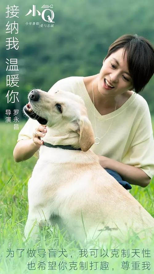南达科他州立大学文凭毕业证哪里能买到